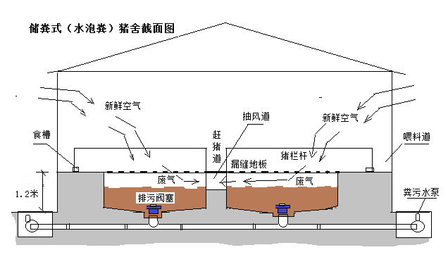 董事长钟启平到浙江省考察养猪水泡粪产品与技术